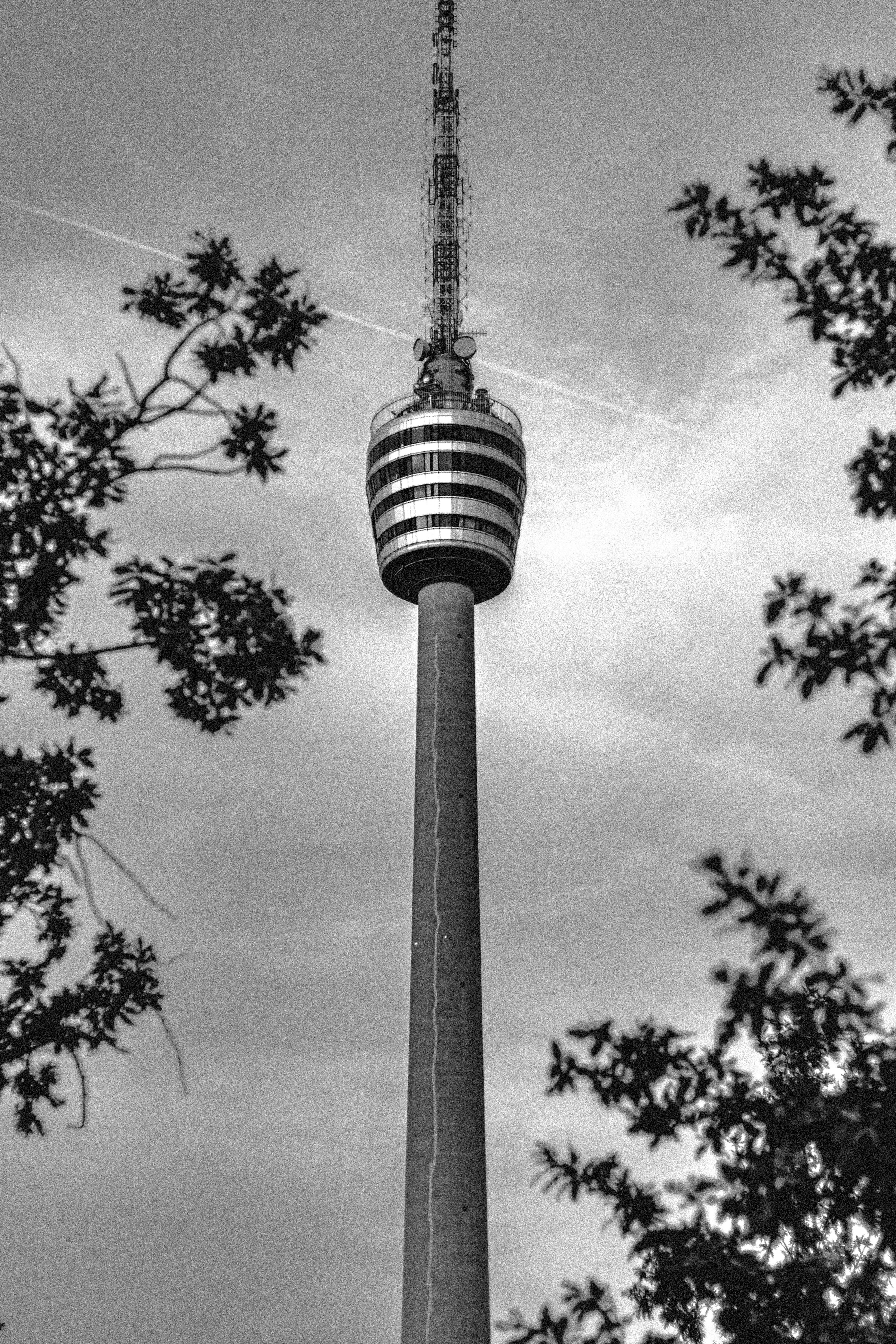 grayscale photo of street light